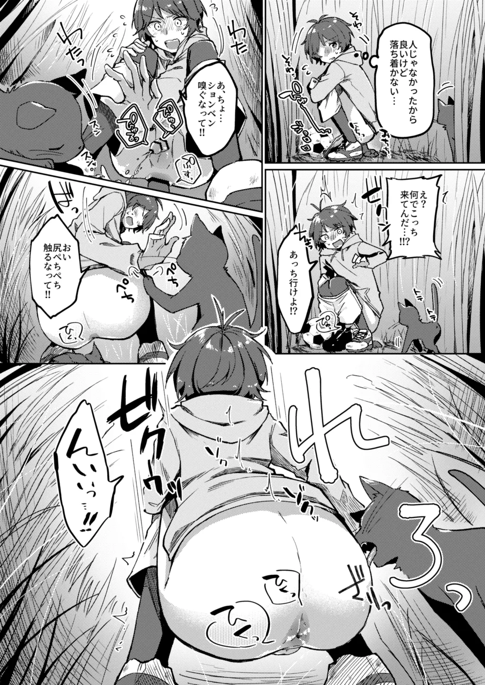 DC大スカ野外 (固形if) ♂ Page.5