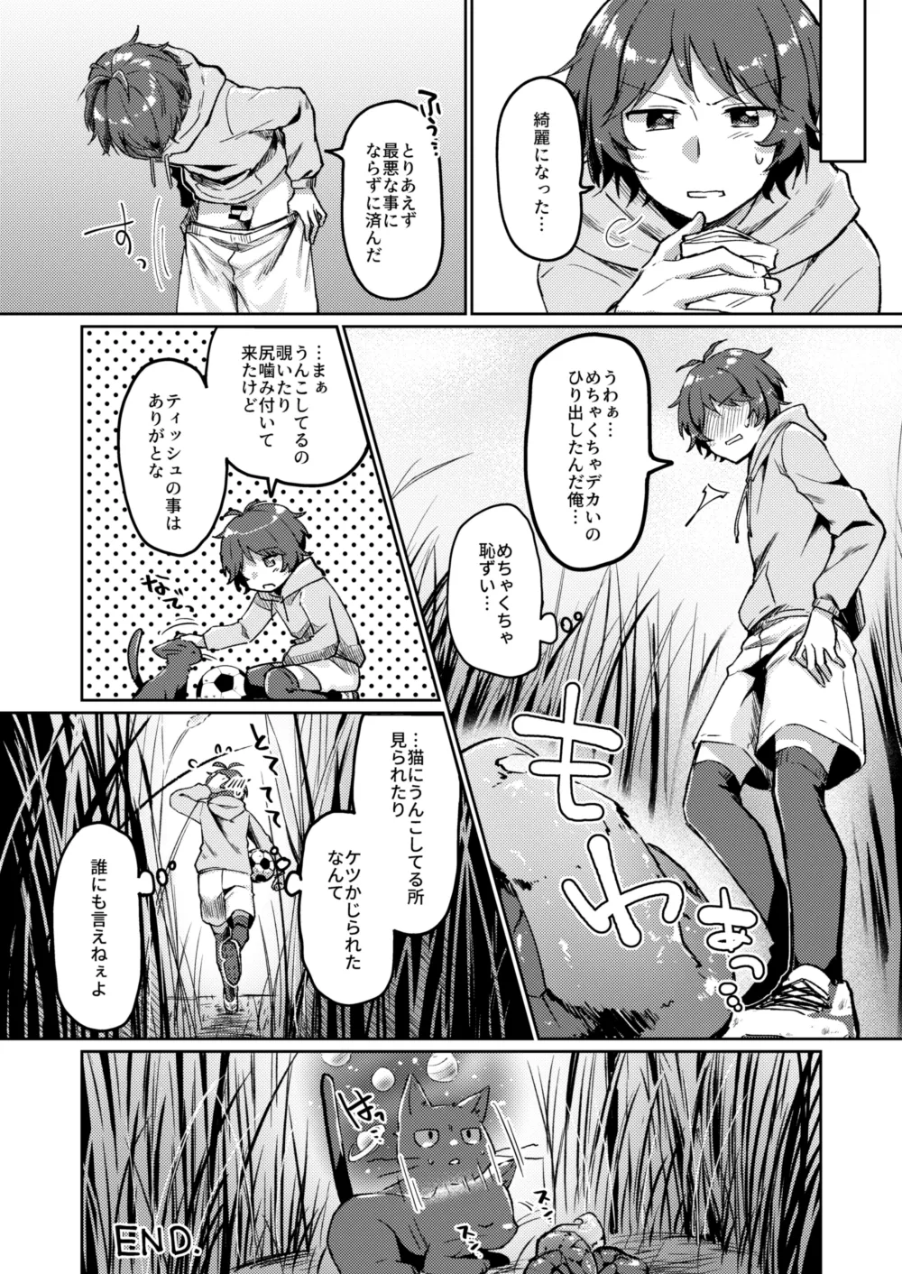 DC大スカ野外 (固形if) ♂ Page.8