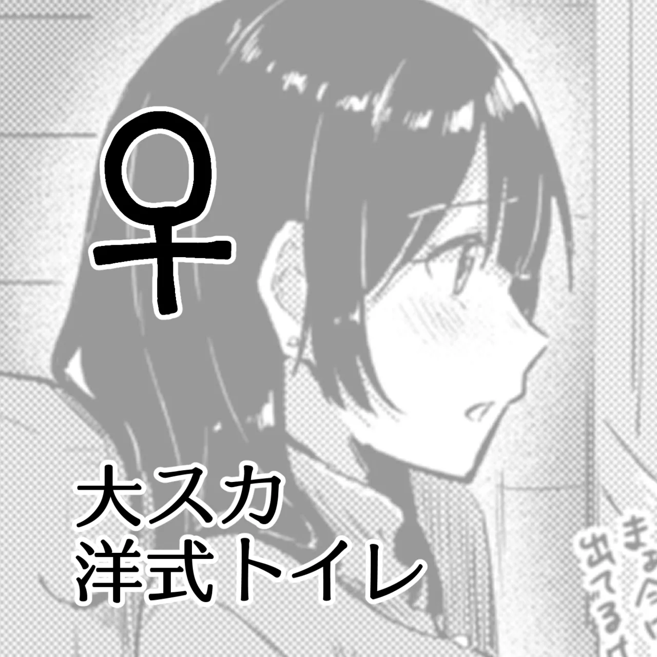 大スカ洋式トイレ