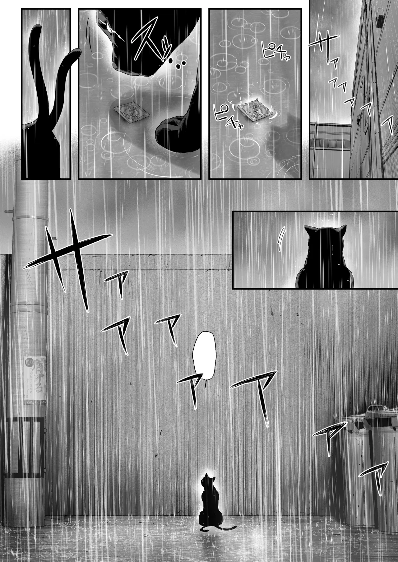 拾った猫がギャルで極道の娘だった話 [無字] Page.15