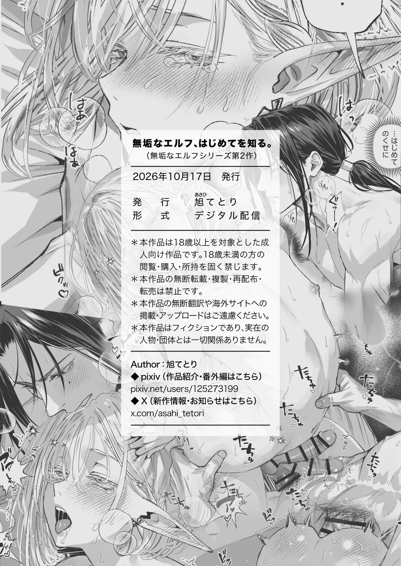 無垢なエルフ、はじめてを知る。 Page.72