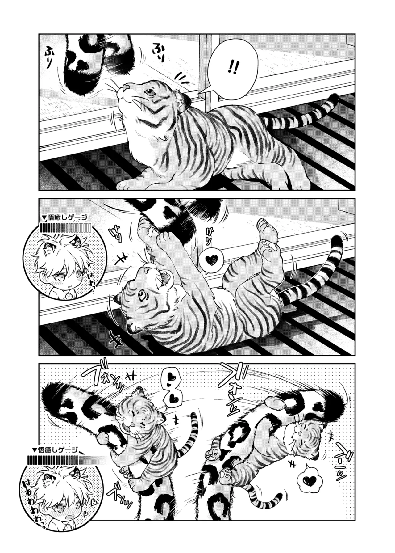 都会には獣人がいない 癒しの虎編 Page.7