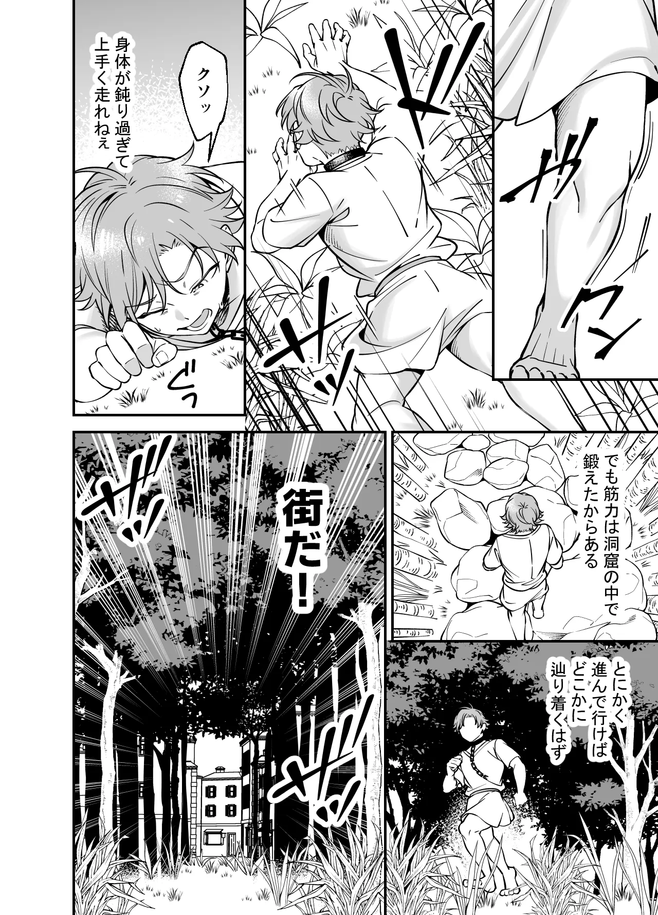 没落貴族様は言うことを聞かない Page.10