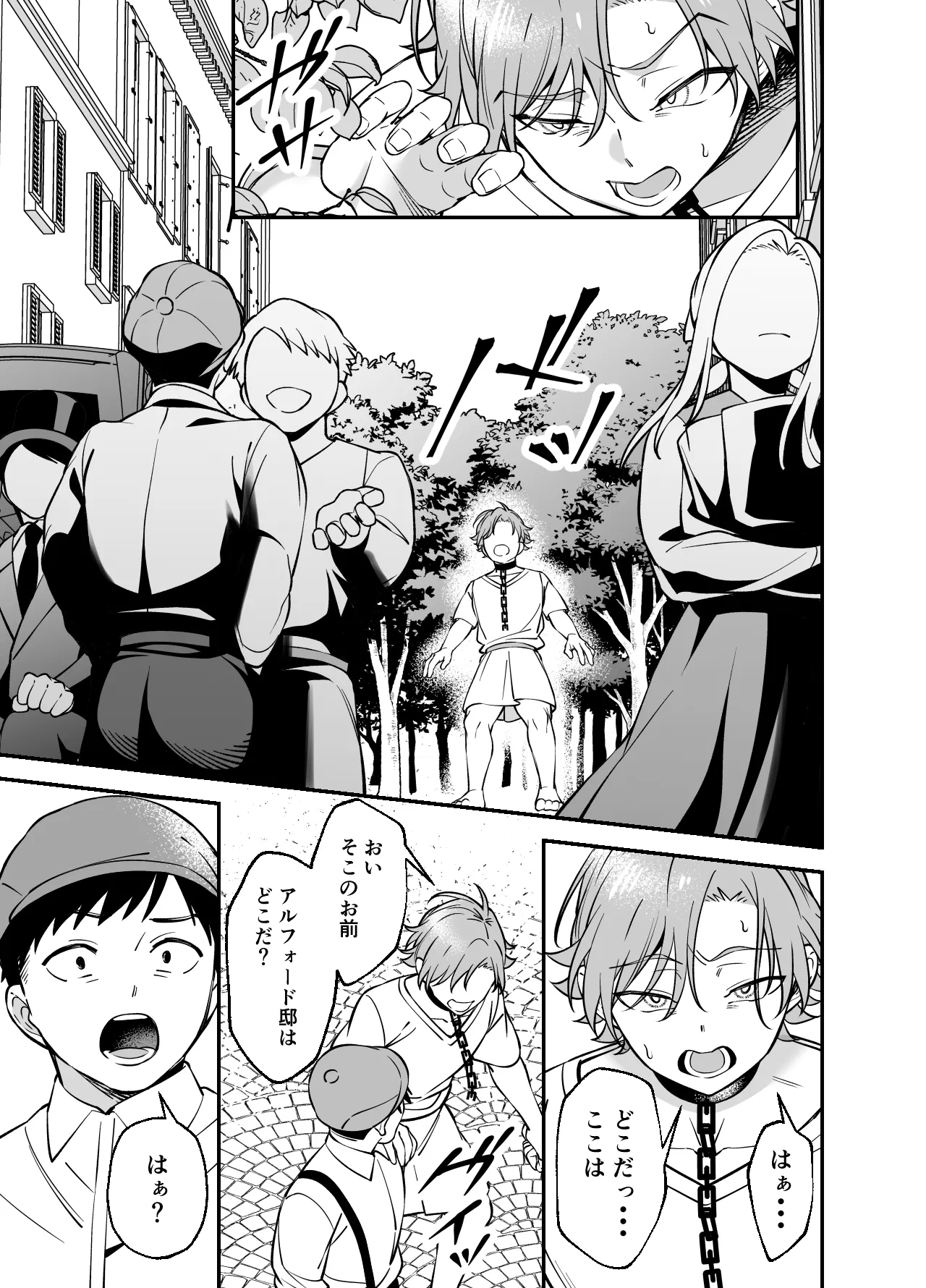 没落貴族様は言うことを聞かない Page.11