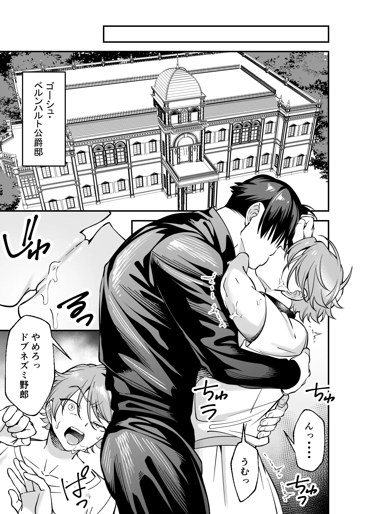 没落貴族様は言うことを聞かない Page.23