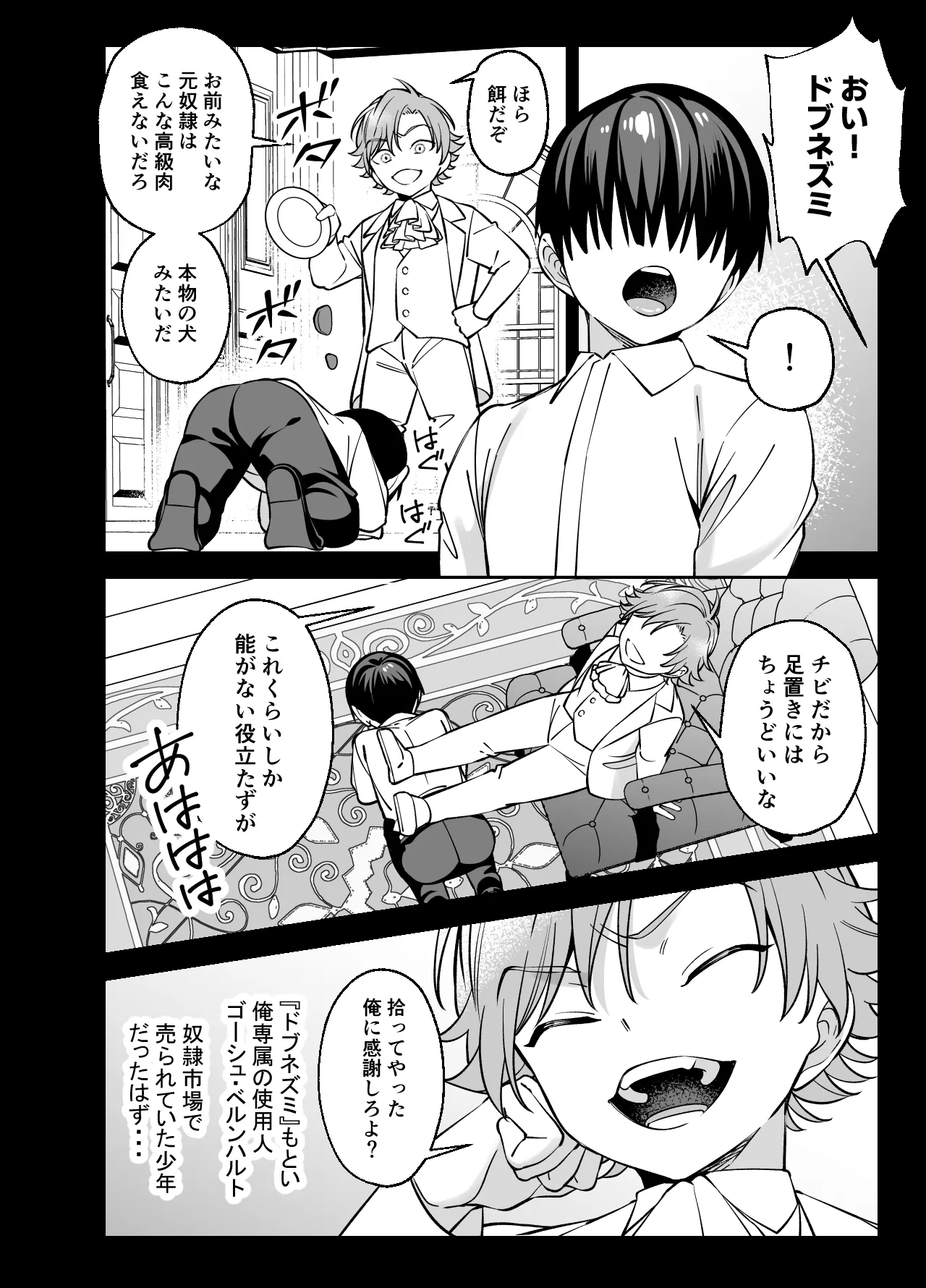 没落貴族様は言うことを聞かない Page.26