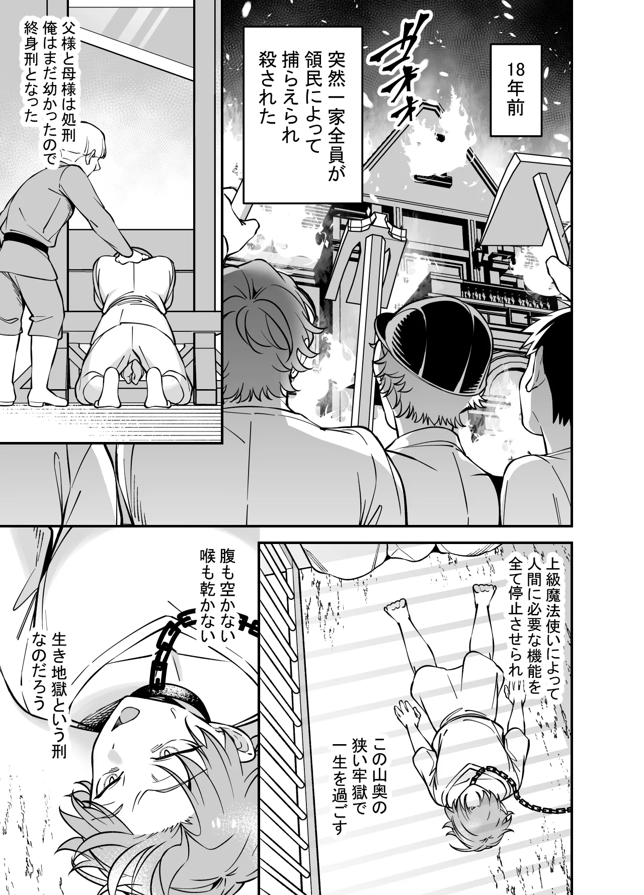 没落貴族様は言うことを聞かない Page.3