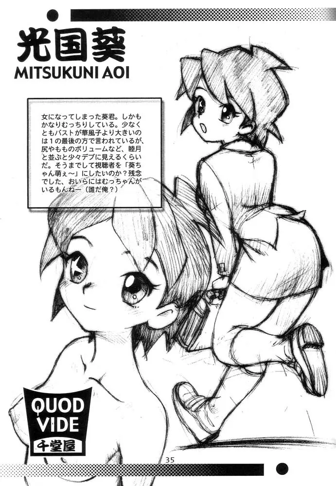 QUOD VIDE Page.34