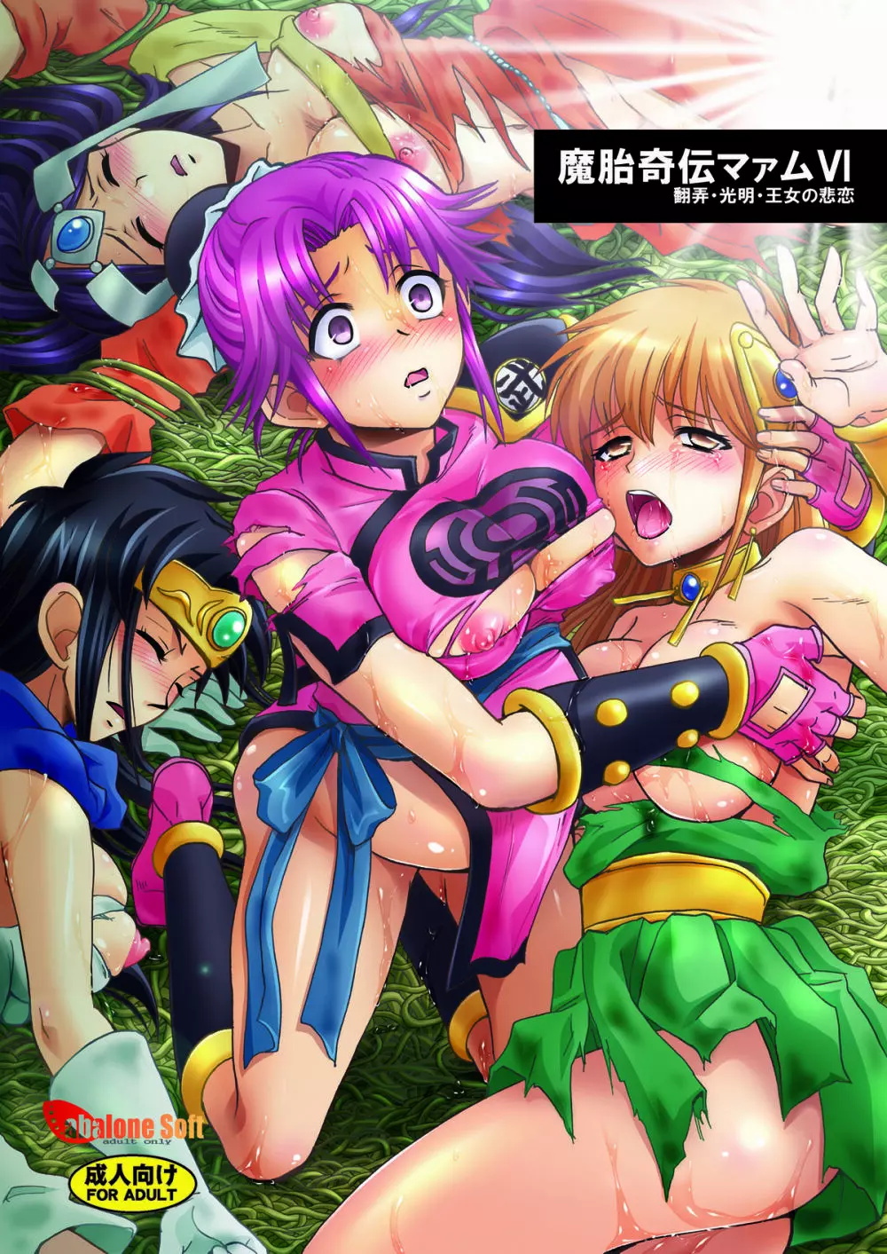 魔胎奇伝マァムVI ~翻弄・光明・王女の悲恋~