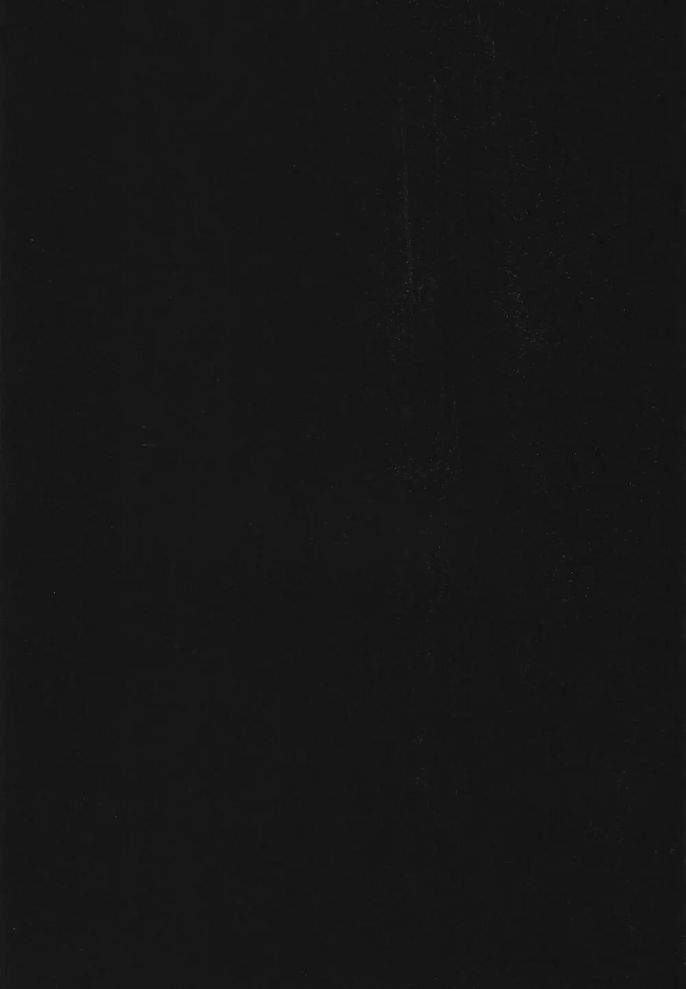 Evangelium Aeternitatis 永遠の福音書 i-ii + おまけ本 Page.374