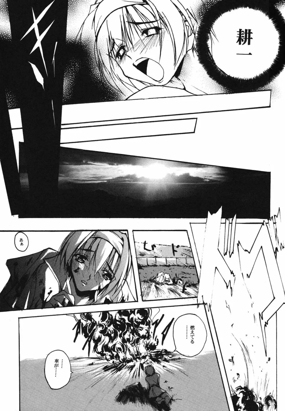 ParoLaub Page.14