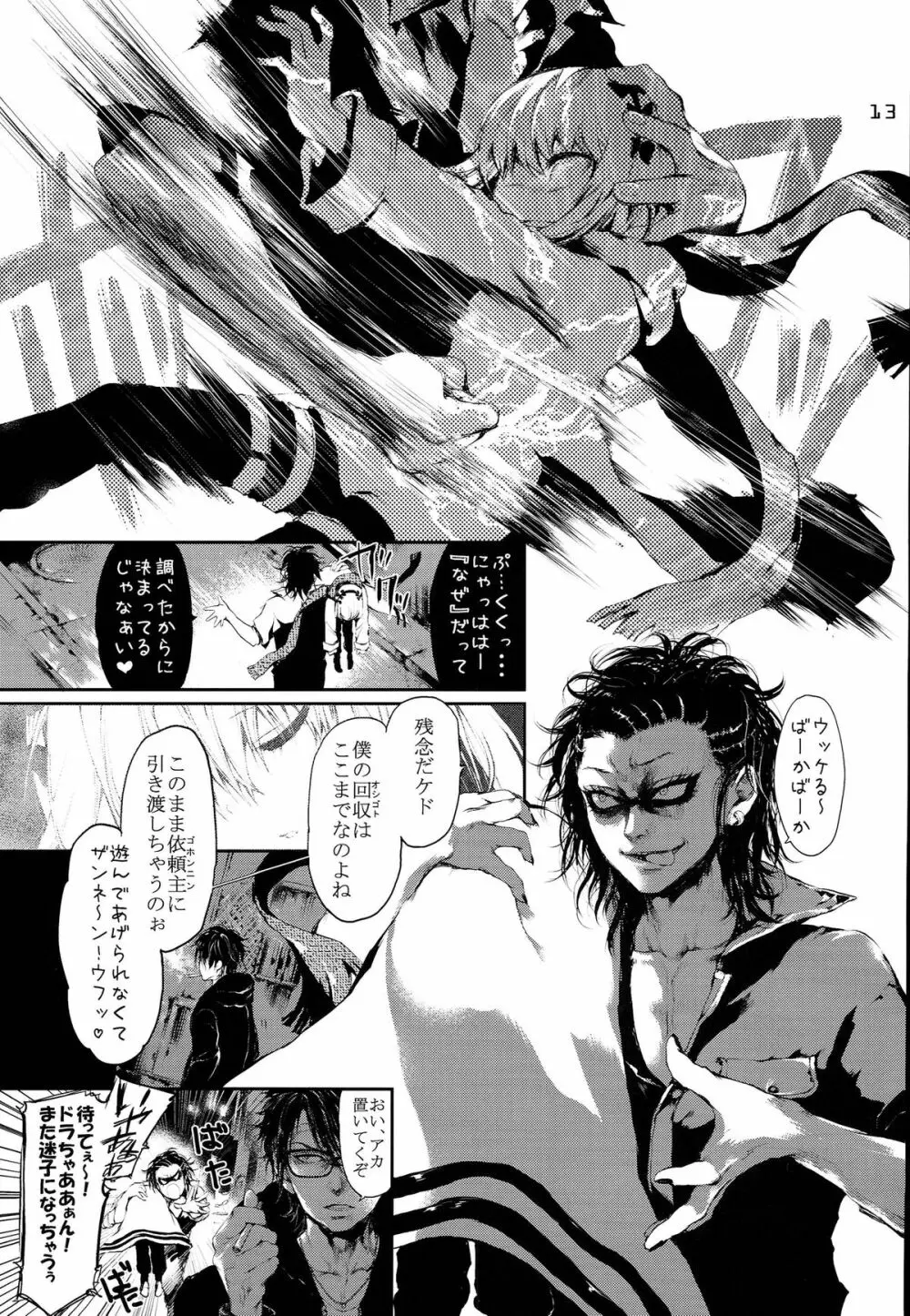 PL/RAY USA Page.12