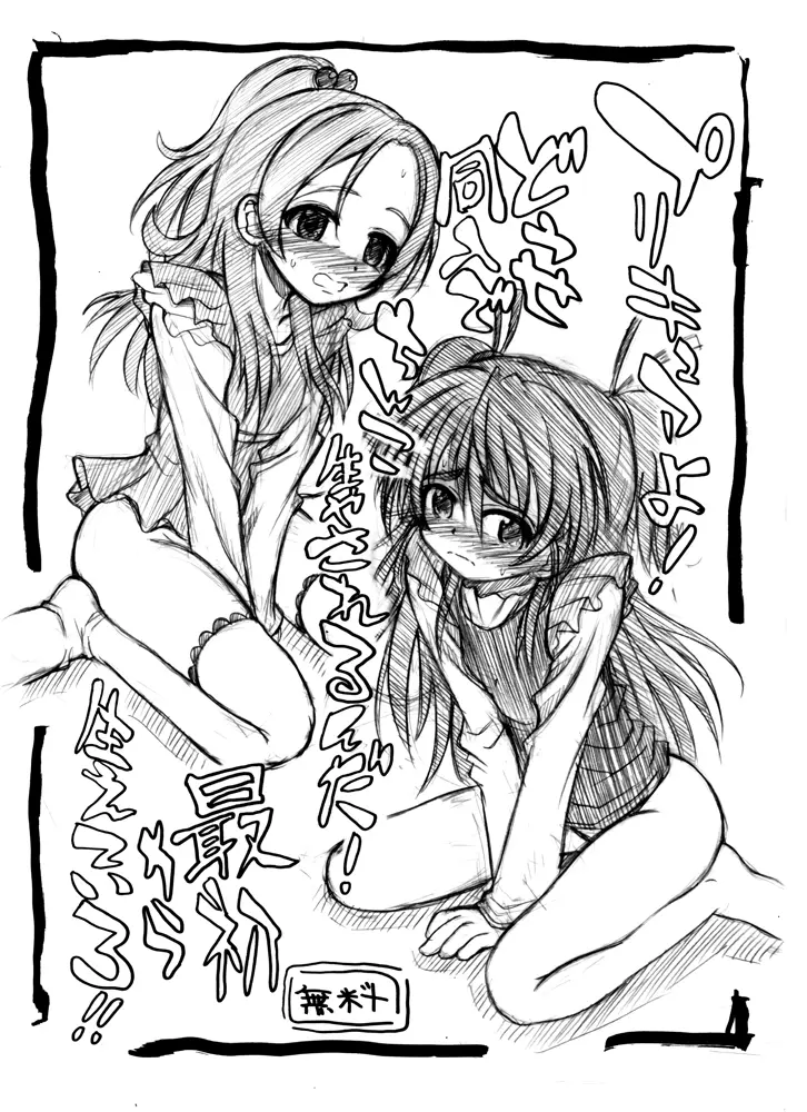 2011冬コミコピー本