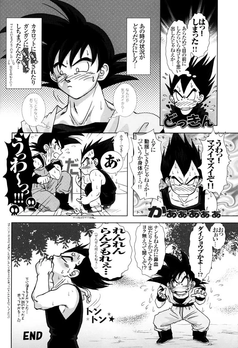 Sairokua Page.24