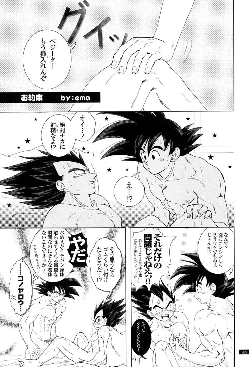 Sairokua Page.27