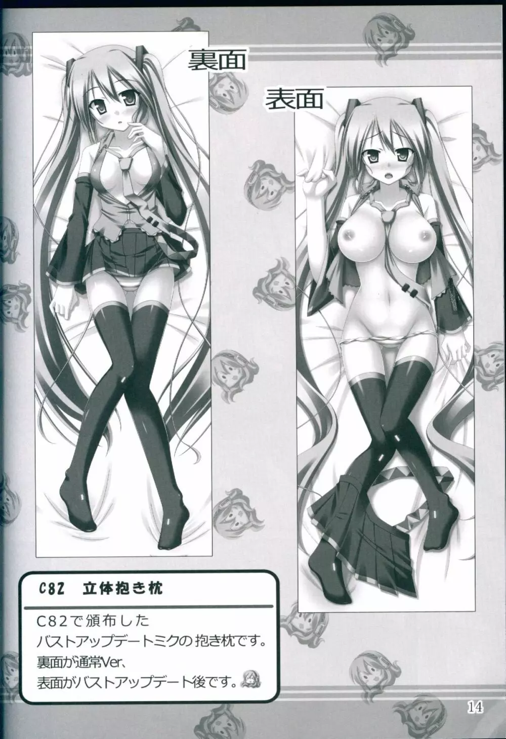 NaturalVoice Page.14