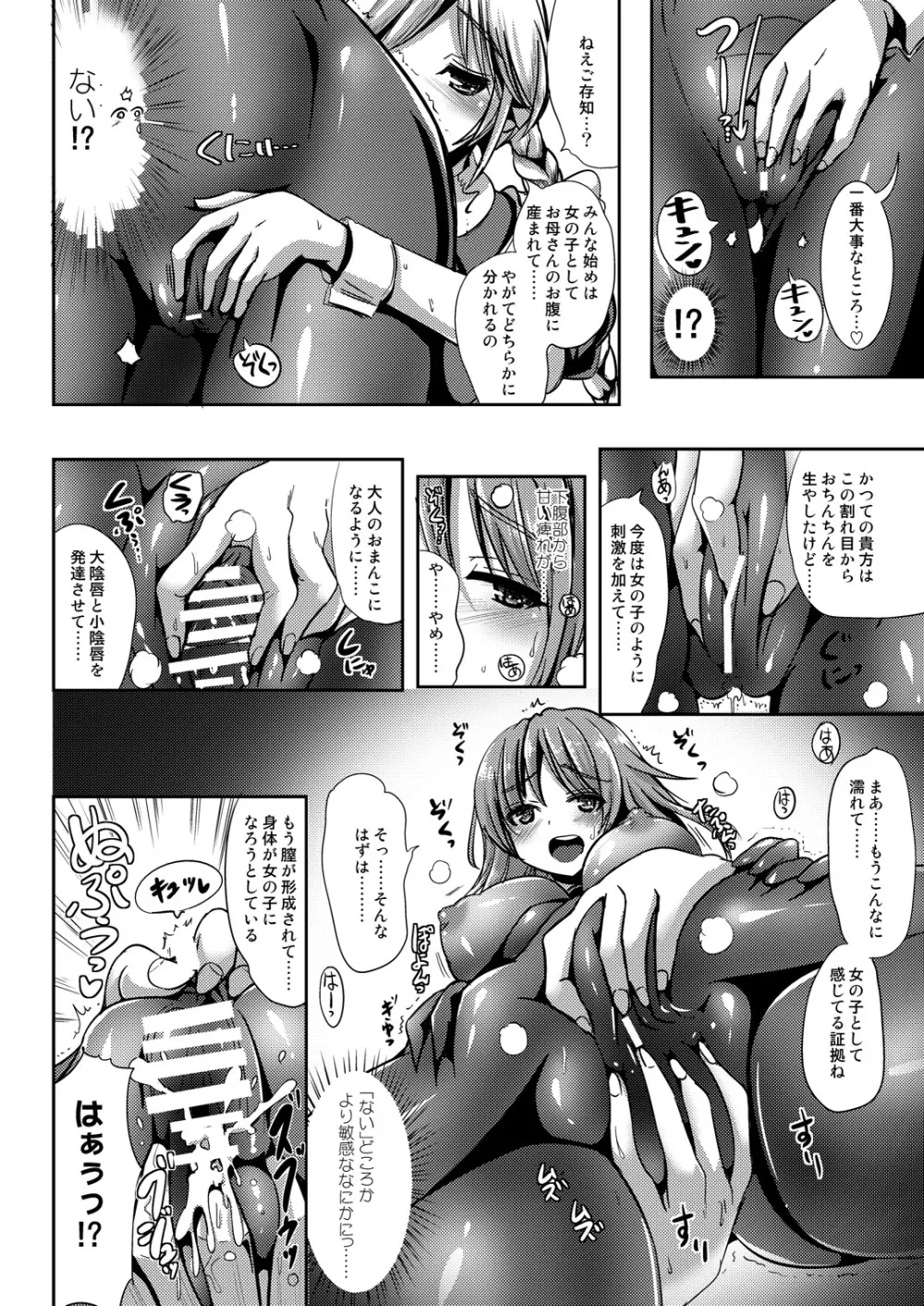 Maiden Carnation Page.11