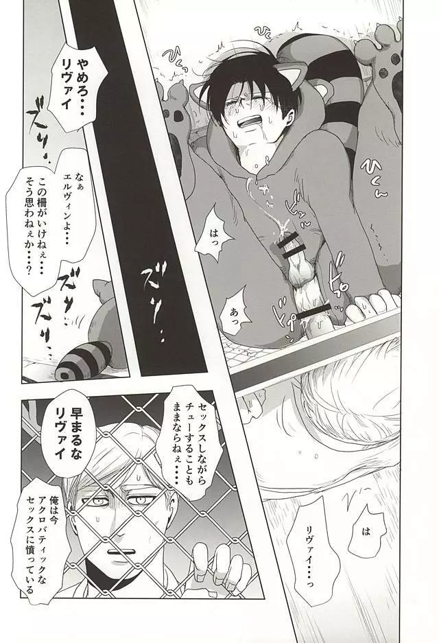 あらいぐまのりばい Page.13