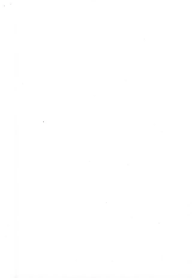 このあと無茶苦茶・・・ Page.34