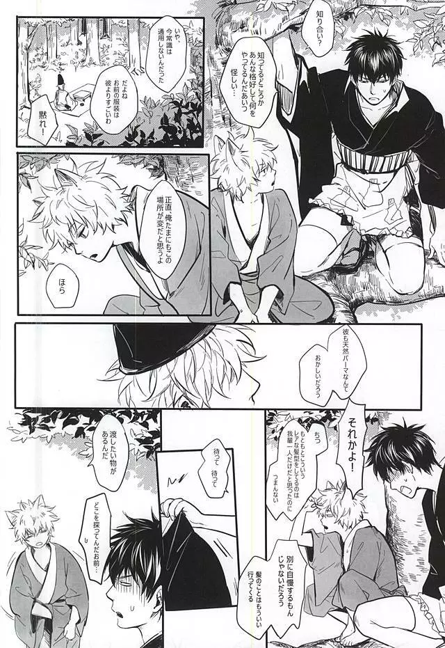 Silver Dream Page.13
