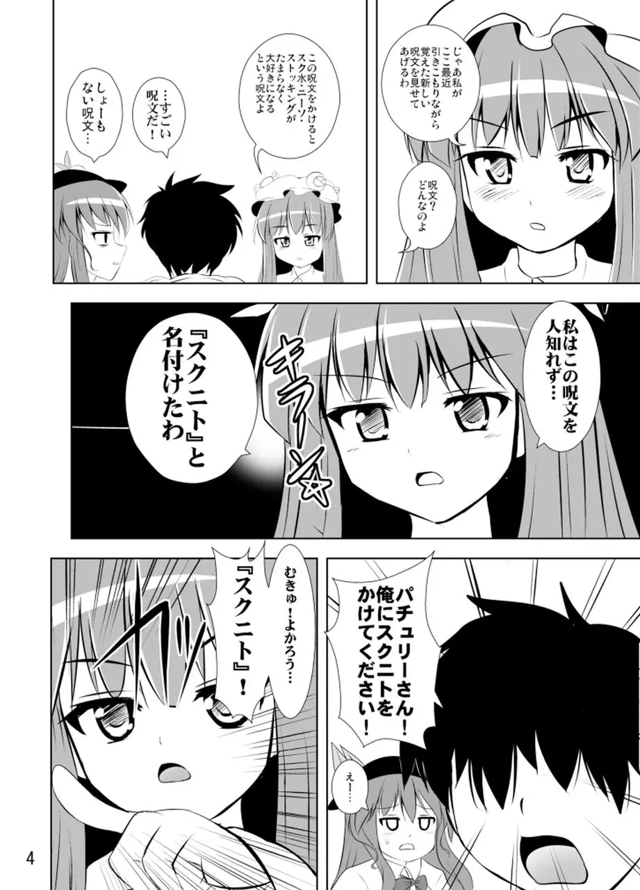 プロジェクトクロスクミズニーソ Page.5